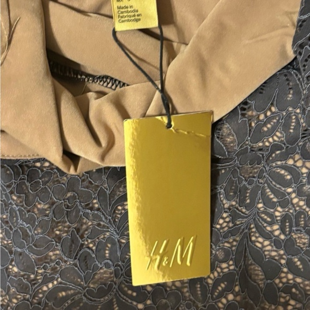 NWT HM Grey on Nude Lace open back Lace Pattern Dress - Picture 5 of 8